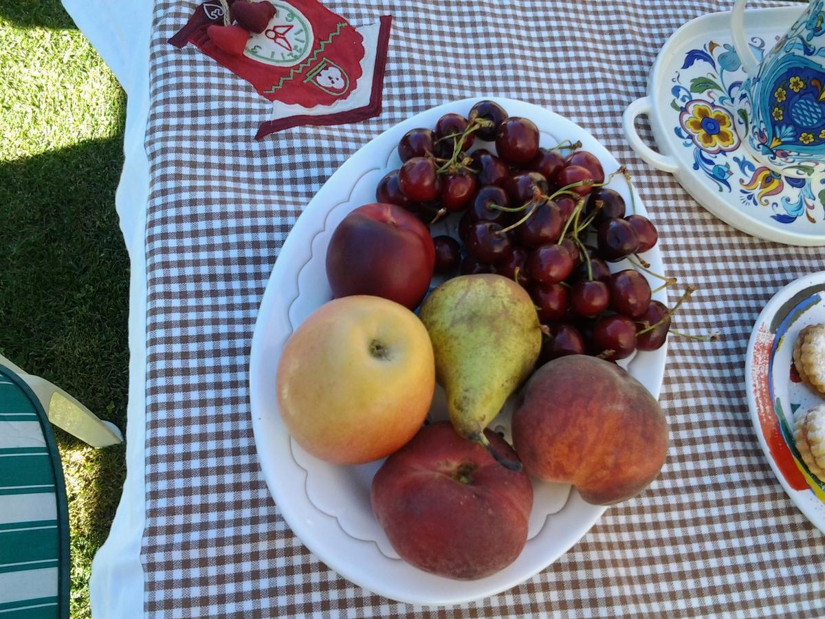 Bed and Breakfast Sa Mariposa Ittiri Exterior foto